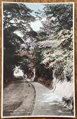 Chantry lane bexhill - chantry,