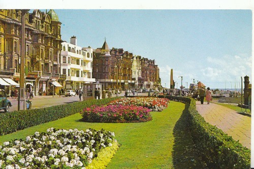 Sussex postcard - postcard,