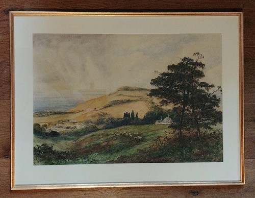 Antique watercolour cattle - -,