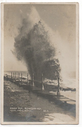 1219 printed postcard a - 1219/printed,